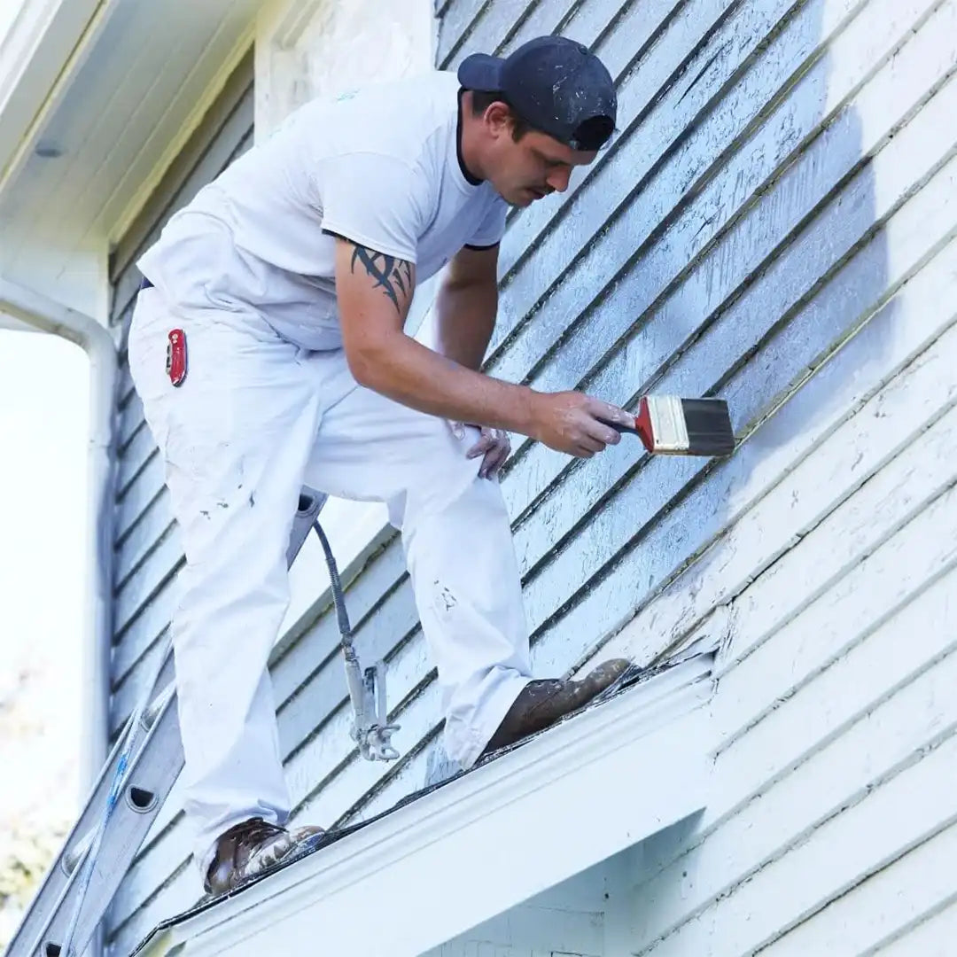 SPEEDY-BEE: BRUSHES WOOD & PLASTIC